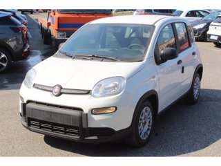 FIAT Panda 1.0 firefly hybrid s&s 70cv