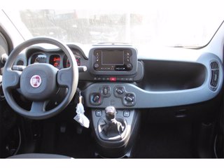 FIAT Panda 1.0 firefly hybrid s&s 70cv