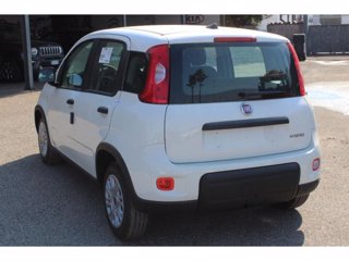 FIAT Panda 1.0 firefly hybrid s&s 70cv