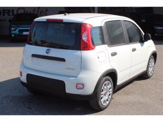 FIAT Panda 1.0 firefly hybrid s&s 70cv