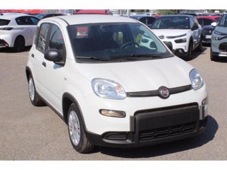 FIAT Panda 1.0 firefly hybrid s&s 70cv